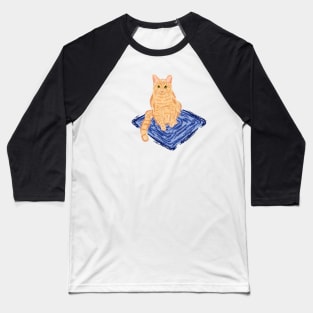 Nice Artwork Showing an Orange Tabby Cat Baseball T-Shirt